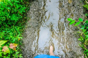 Muddy path