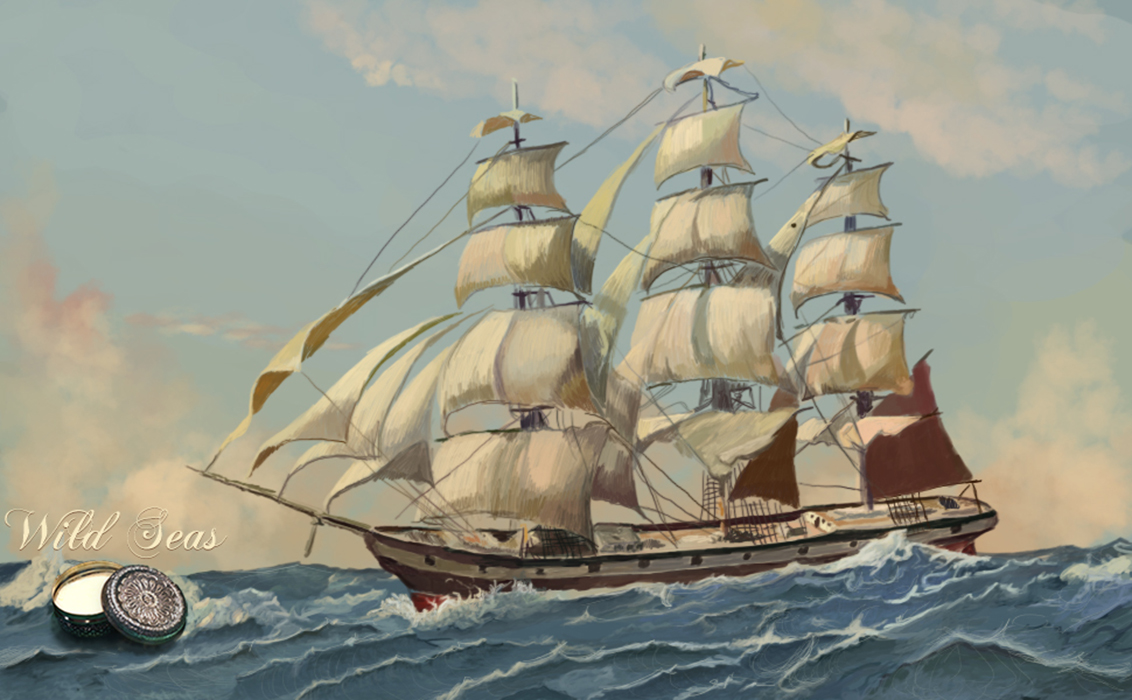 Wild Seas Shaving Soap